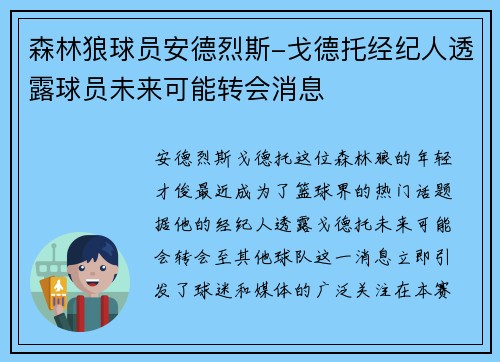 森林狼球员安德烈斯-戈德托经纪人透露球员未来可能转会消息